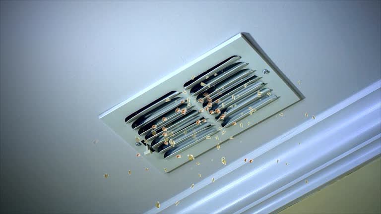 Best Local Air Duct Cleaning Services  in Breckenridge, CO